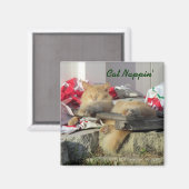 Cat Nappin' Magnet Magneet (Voorkant / Achterkant)