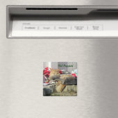 Cat Nappin' Magnet Magneet (Insitu (Vaatwasser))