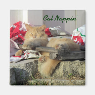 Cat Nappin' Magnet Magneet