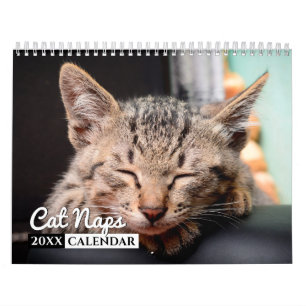 Cat Naps 2022 Calendrier de la paroi photo
