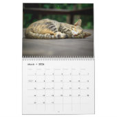 Cat Naps - Calendrier des murs photo (Mar 2026)