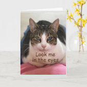 CAT NE PEUT PAS CROIRE QUE VOUS ÊTES "70" CARTE (Fleur jaune)