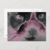 Cat Neon Pink Briefkaart (Voorkant / Achterkant)