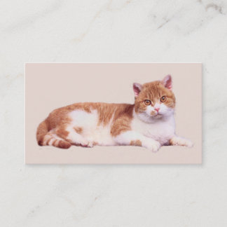 Cat Niemand's Purrfect Visitekaartje