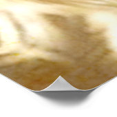 Cat Old Viking. Poster (Hoek)