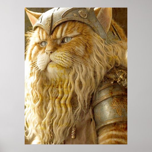 Cat Old Viking. Poster (Voorkant)