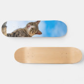 Cat on a wall skateboard (Horizontaal)