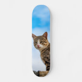 Cat on a wall skateboard (Voorkant)