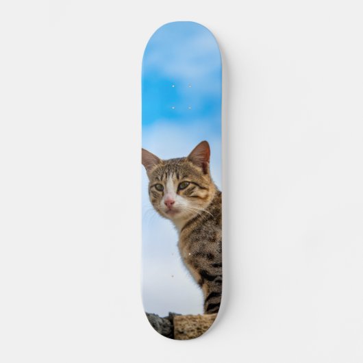 Cat on a wall skateboard (Voorkant)