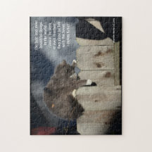 Cat on Fence #9 (gepersonaliseerde offerte)