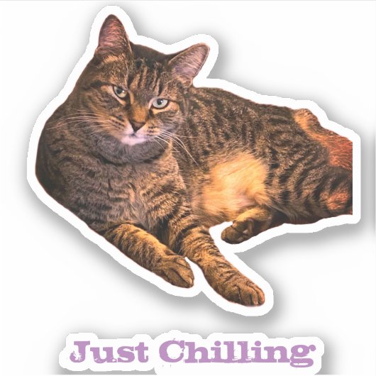 Cat op maat gesneden vinyl Stickers (Voorkant)