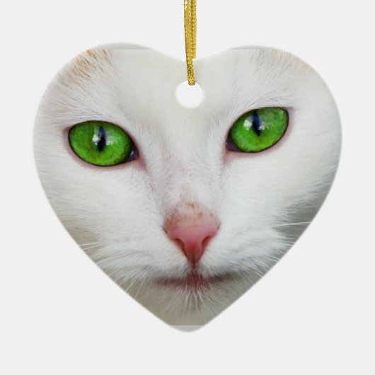 Cat Ornament (Voorkant)