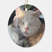 Cat Ornament (Links)