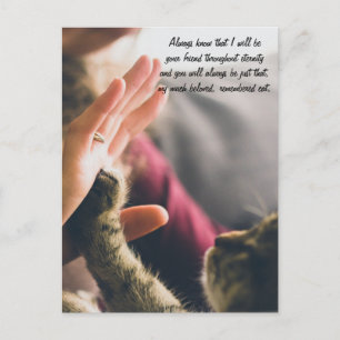 Cat Paw High-Five Briefkaart