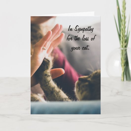 Cat Paw High-five Kaart (Voorkant)