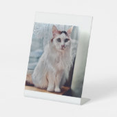 Cat Pedastal Reclamebord Met Voetstuk (Voorkant)