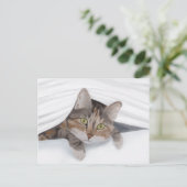 Cat Peking Out JW Briefkaart (Staand voorkant)