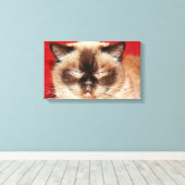 CAT PERSIAN SLEEEPY STRETCHED CANVAS AFDRUK (Insitu (Houten vloer))