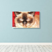 CAT PERSIAN SLEEEPY STRETCHED CANVAS AFDRUK (Insitu (Houten vloer))
