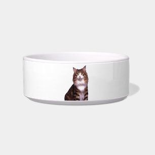Cat Pet Bowl Voerbakje