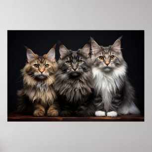 Cat Pet Dierenportret Natuur Beauty Poster