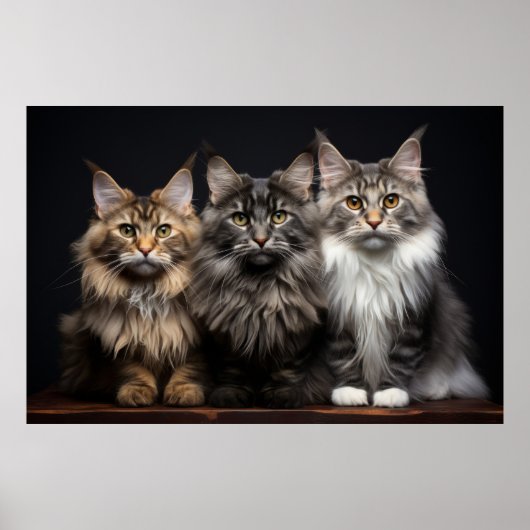 Cat Pet Dierenportret Natuur Beauty Poster (Voorkant)