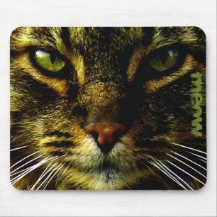 Cat Pet Hypnotiting Eyes Foto Aangepaste tekst Muismat