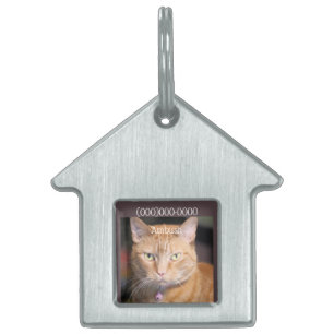 Cat pet ID label Huisdieren Naamplaatje