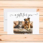 Cat Pet Sitting Walking