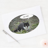 Cat Photo Custom Text Sticker (Envelop)