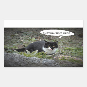 Cat Photo Custom Text Sticker