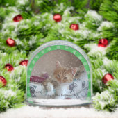 Cat Photo Name Green Customize (Noël)