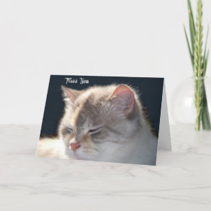 Cat Photo-wenskaart Kaart