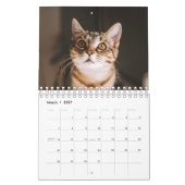 Cat Photos Make Your PAWsome Personalized Calendar Kalender (Mar 2027)