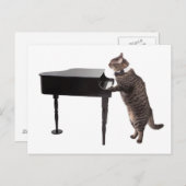 Cat Playing Piano Briefkaart (Voorkant / Achterkant)