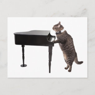 Cat Playing Piano Briefkaart