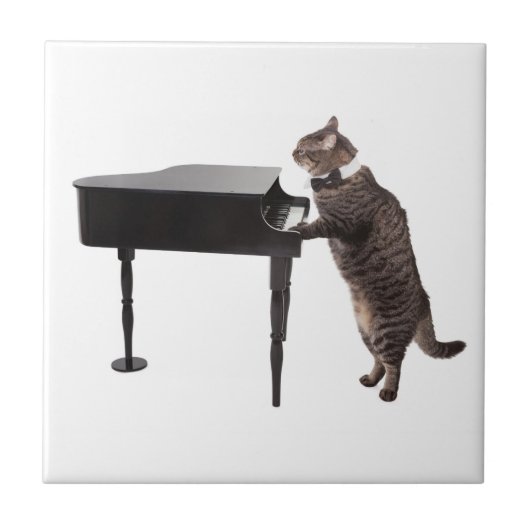 Cat Playing Piano Tegeltje (Voorkant)