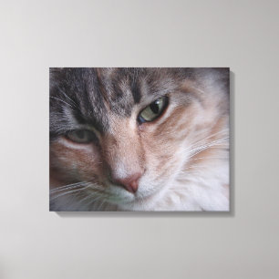 Cat Portrait Canvas Afdruk