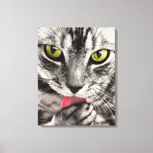 Cat Portrait Canvas Afdruk