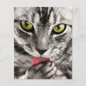 Cat Portrait Flyer (Voorkant)