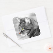 Cat Portrait Vierkante Sticker (Envelop)