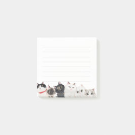 Cat Post it Note