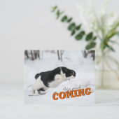 Cat Postcard Briefkaart (Staand voorkant)