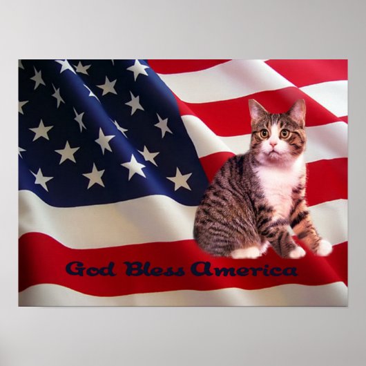 Cat Poster All American (Voorkant)