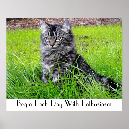 CAT-POSTER POSTER (Voorkant)