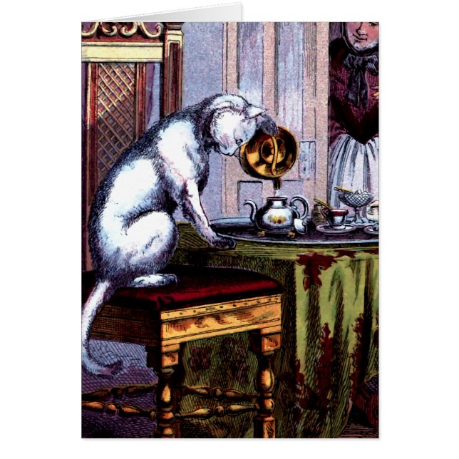 Cat Pourtea (Voorkant)