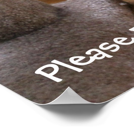 Cat Praying Poster (Hoek)