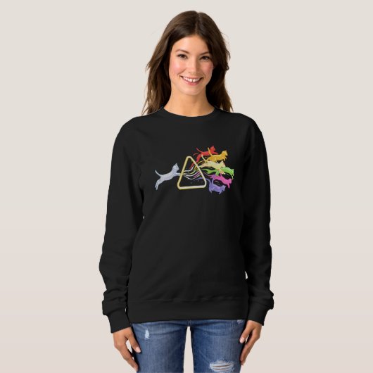 Cat Prism Rainbow Light Physics Science Spectral C Trui (Voorkant volledig)