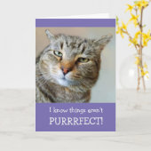 Cat Pun en Joke worden goed Kaart (Gele Bloem)