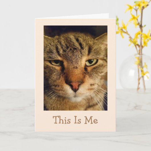 Cat Pun krijgt een goede Kaart (Gele Bloem)